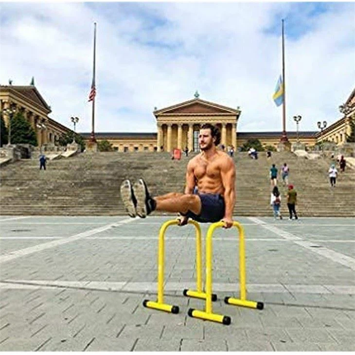 parallel workout dip stand